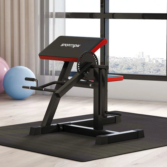 The JB Muscle SPORTNOW Adjustable Preacher Curl Bench, featuring a handlebar and elbow cushion, stands on a black mat in a modern room with large windows and two exercise balls in the background.